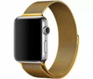 Ремешок из нержавеющей стали COTEetCL W6 Magnet Band для Apple Watch 42/44mm золотой миланская петля (WH5202-GD)