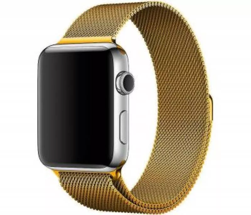 Ремешок из нержавеющей стали COTEetCL W6 Magnet Band для Apple Watch 42/44mm золотой миланская петля (WH5202-GD)