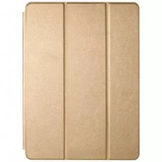 Чехол-книжка iPad Pro 11" (2018) (Золотой)