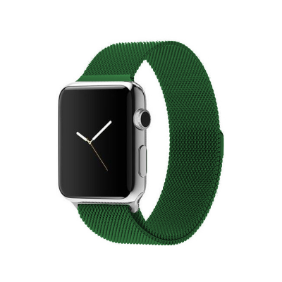 Ремешок из нержавеющей стали COTEetCL W6 Magnet Band для Apple Watch 38/40mm зеленый миланская петля (WH5202-GR)