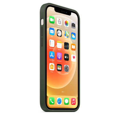 Silicon Case for iPhone 12 Pro Max (Cyprus Green)