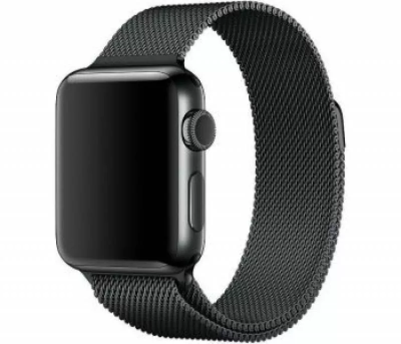 Ремешок из нержавеющей стали COTEetCL W6 Magnet Band для Apple Watch 42/44mm графитовый миланская петля (WH5202-GY)