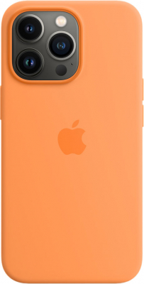 Silicon Case MagSafe для iPhone 13 Pro Max Весенняя Мимоза