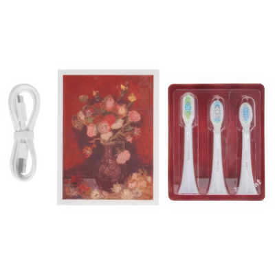 Электрическая зубная щетка Xiaomi Soocas X3U Van Gogh Museum Design (Красный)