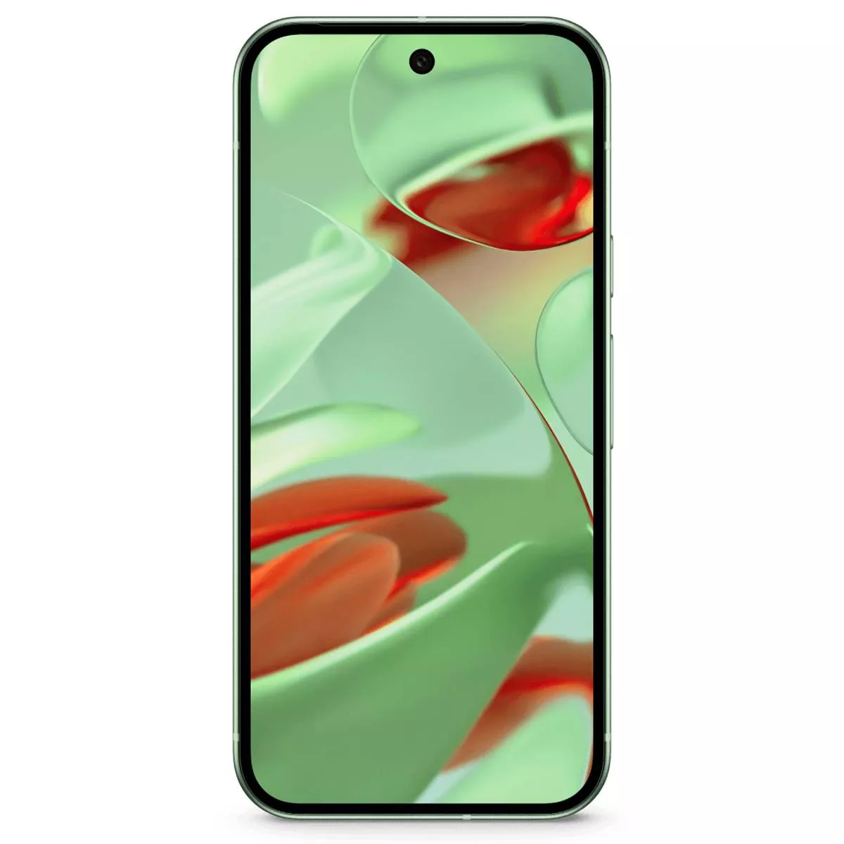 Google Pixel 9 12/256Gb Wintergreen (без RuStore)