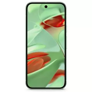 Google Pixel 9 12/256Gb Wintergreen (без RuStore)