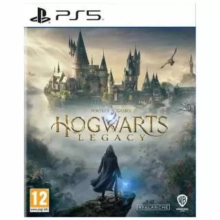 Игра Hogwarts Legacy (PS5)