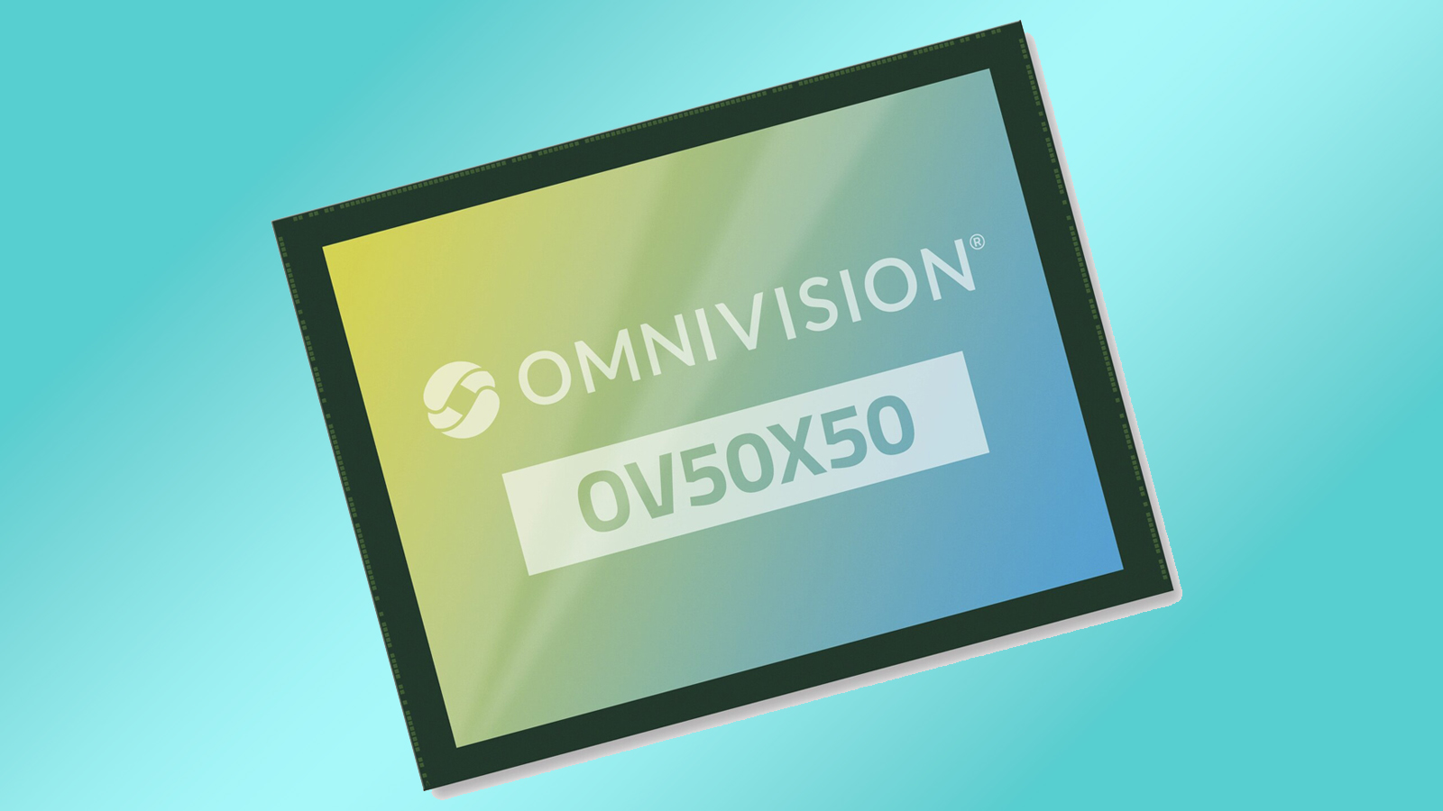 OV50X50